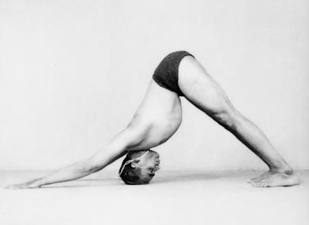 Ado Mukha svanasana par BKS IYENGAR
